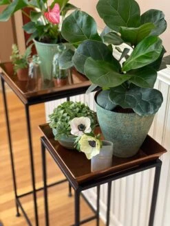 Square Nesting Plant Stands With Trays, Set Of 2 -Best Garden Care Shop 8611014 3651 tif