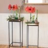 Square Nesting Plant Stands With Trays, Set Of 2 2 Square Nesting Plant Stands With Trays, Set Of 2 -Best Garden Care Shop 8611014 3660 tif