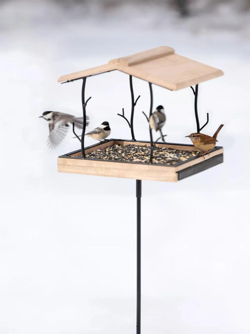 Twigs Platform Bird Feeder 3 Twigs Platform Bird Feeder
