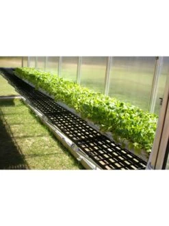 MONT Greenhouse Work Bench System, 8' X 16' 11 MONT Greenhouse Work Bench System, 8' X 16' -Best Garden Care Shop 8611204 03v 1