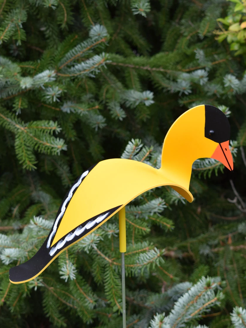 Florida Dancing Birds®, Songbirds 6 Florida Dancing Birds®, Songbirds - Image 4