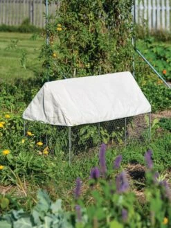 Crop Coop Covers Set -Best Garden Care Shop 8611698 004 tif