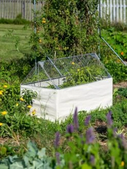 Crop Coop Covers Set -Best Garden Care Shop 8611698 005 tif