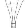 Achla Fan Trellis, 56" 1 Achla Fan Trellis, 56" -Best Garden Care Shop 8611788 01v achla fan trellis 56 inch graphite powder coated wrought iron