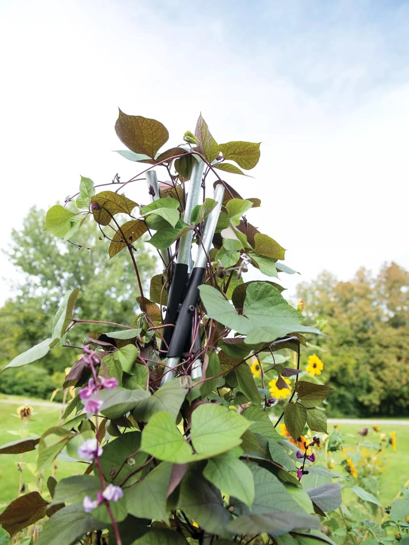 DIY Connector For Teepee Trellis 3 DIY Connector For Teepee Trellis