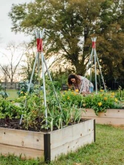 DIY Connector For Teepee Trellis 21 DIY Connector For Teepee Trellis -Best Garden Care Shop 8611896 38 tif