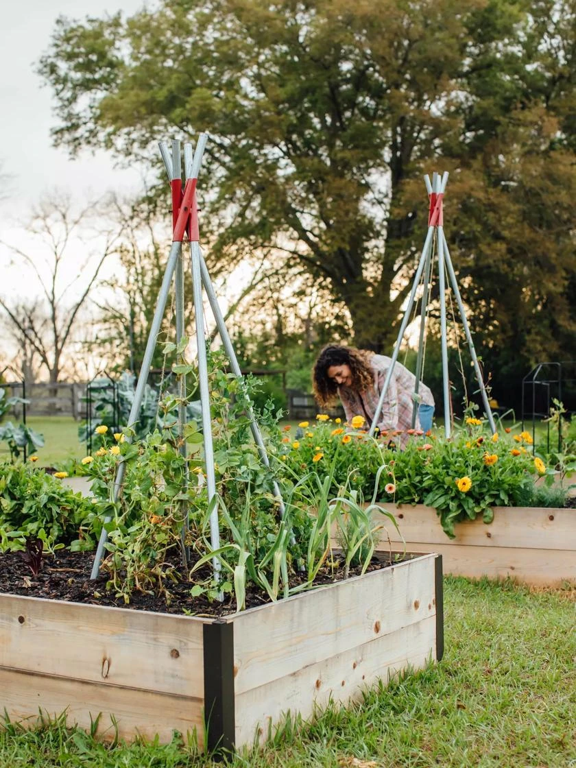 DIY Connector For Teepee Trellis 10 DIY Connector For Teepee Trellis - Image 8