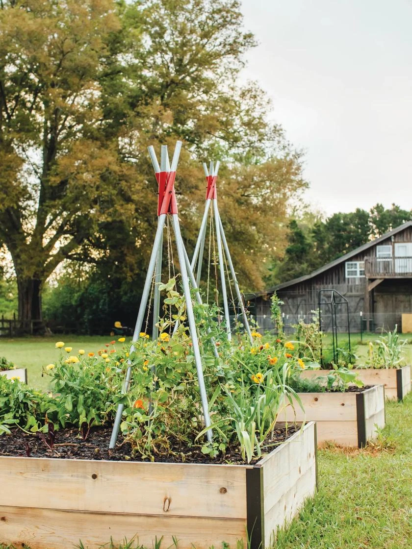 DIY Connector For Teepee Trellis 9 DIY Connector For Teepee Trellis - Image 7