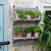 VegTrug® Herb Rack -Best Garden Care Shop 8611930 6402 tif