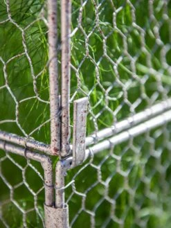 Chicken Wire Crop Coop Extension 12 Chicken Wire Crop Coop Extension -Best Garden Care Shop 8611940 232 tif