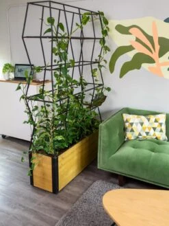 Self-Watering Partition Planter -Best Garden Care Shop 8611952 001 tif