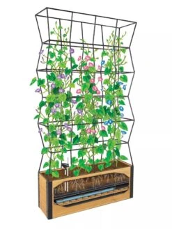 Self-Watering Partition Planter -Best Garden Care Shop 8611952 art 3 4