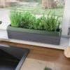 Provence Self-Watering Herb Planter 2 Provence Self-Watering Herb Planter -Best Garden Care Shop 8611965 01V tif