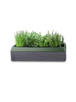 Provence Self-Watering Herb Planter 13 Provence Self-Watering Herb Planter -Best Garden Care Shop 8611965 03V tif