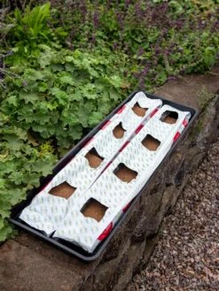 Berry Blend Coir Grow Bag, Set Of 2 -Best Garden Care Shop 8611968 361 tif