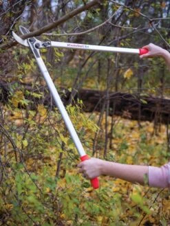 Castellari Long-Handled Anvil Lopper