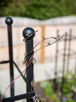 Essex Square Obelisk 12 Essex Square Obelisk -Best Garden Care Shop 8611984 278 tif