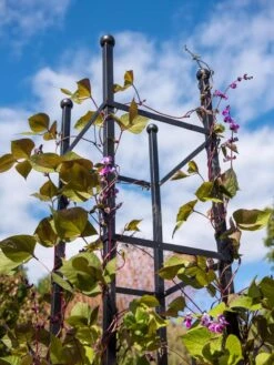 Essex Square Obelisk 10 Essex Square Obelisk -Best Garden Care Shop 8611984 354 tif