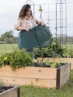 Insect And Pest Net Row Protector 12 Insect And Pest Net Row Protector -Best Garden Care Shop 8611985 8389 tif