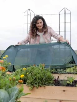 Insect And Pest Net Row Protector 13 Insect And Pest Net Row Protector -Best Garden Care Shop 8611985 8390 tif