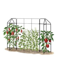 Zenith Trellis -Best Garden Care Shop 8612035 art tif