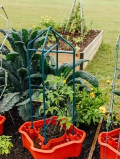 Deluxe Tomato Halos, Set Of 2 -Best Garden Care Shop 8612045 221 tif