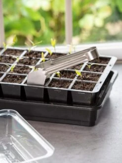 Seedling Transplant Tongs -Best Garden Care Shop 8612047 020 tif