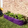 Smart Pot® Raised Bed Planter, Purple -Best Garden Care Shop 8612142 6347 tif
