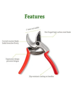 Castellari Mini Anvil Pruner -Best Garden Care Shop 8612199 5