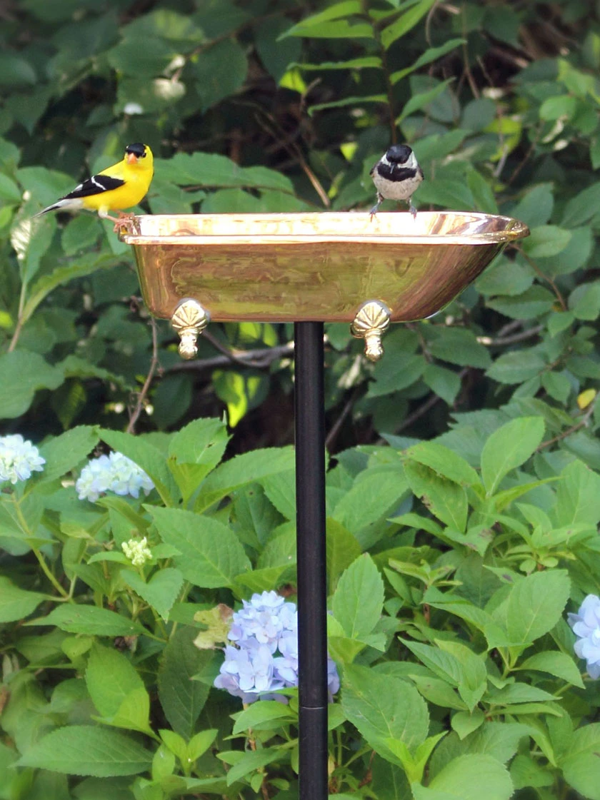 Copper Bathtub Birdbath 3 Copper Bathtub Birdbath