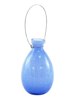 Achla Designs Teardrop Rooting Vase -Best Garden Care Shop 8612530bll 03v