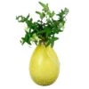 Achla Designs Teardrop Rooting Vase -Best Garden Care Shop 8612530ye 01v