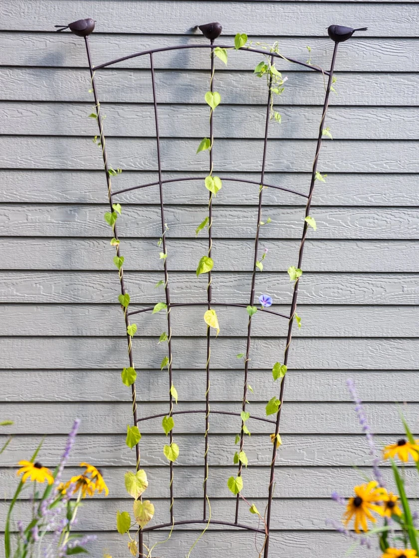 Flock Of Friends Wall Trellis 3 Flock Of Friends Wall Trellis