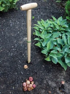 Wicked Big Dibber 10 Wicked Big Dibber -Best Garden Care Shop 8612667 0028