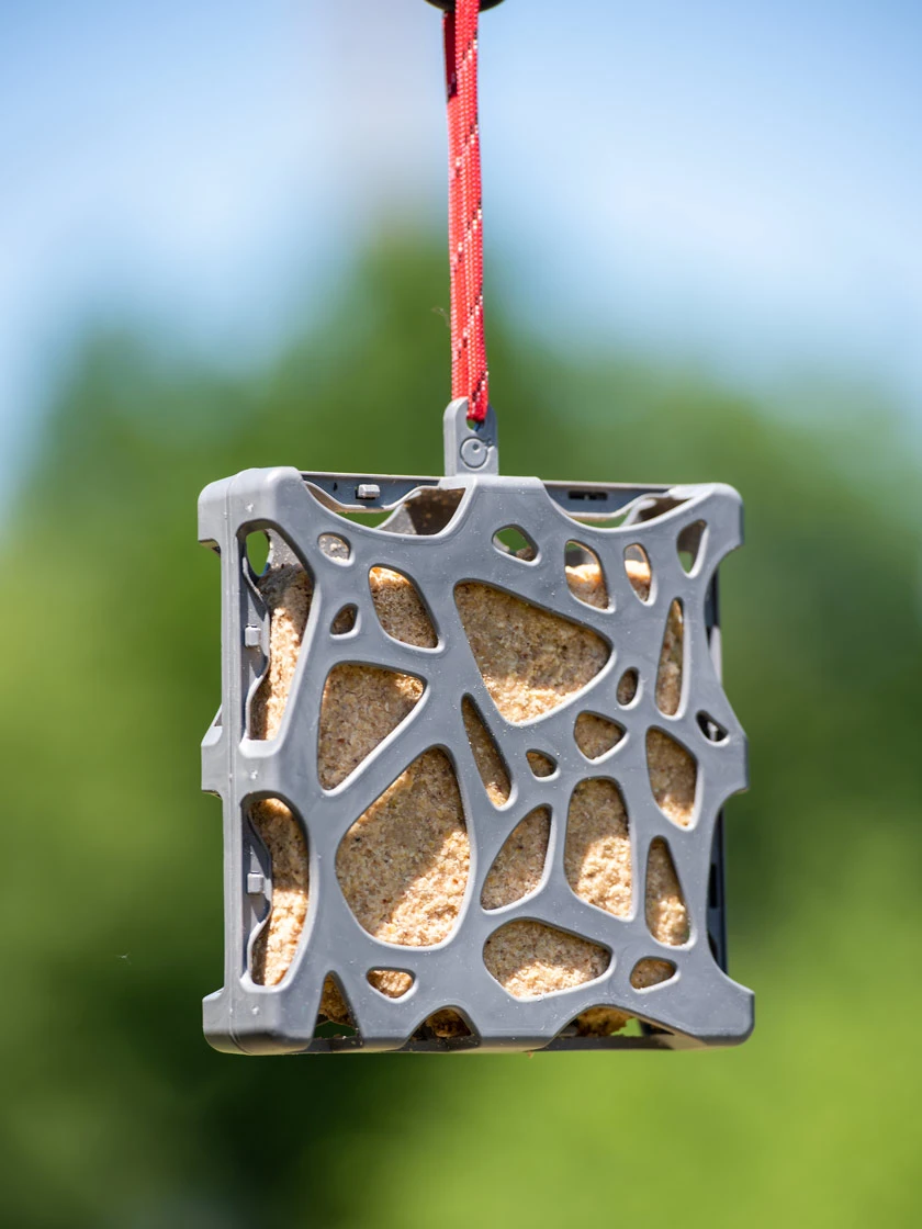 Suet Cake Feeder 3 Suet Cake Feeder