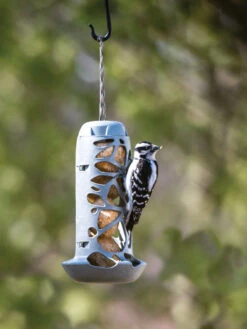 Suet Ball Feeder