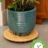 Bamboo Plant Caddy Round, 15.75" -Best Garden Care Shop 8612716 14
