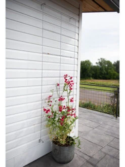 Chicken Wire Wall Trellis -Best Garden Care Shop 8612717 0081