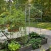 Chicken Wire Pea Trellis -Best Garden Care Shop 8612718 7313 chicken wire pea trellis