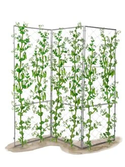 Chicken Wire Pea Trellis -Best Garden Care Shop 8612718 peatrellis art chicken wire pea trellis