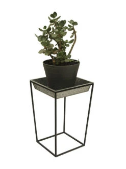 Achla Designs Arne Plant Stand 14 Achla Designs Arne Plant Stand -Best Garden Care Shop 8612899 03v