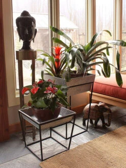 Achla Designs Arne Plant Stand 13 Achla Designs Arne Plant Stand -Best Garden Care Shop 8612900 03v