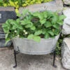 Achla Designs Mini Oval Galvanized Tub With Folding Stand -Best Garden Care Shop 8612906 02v achla designs mini oval galvanized tub with folding stand