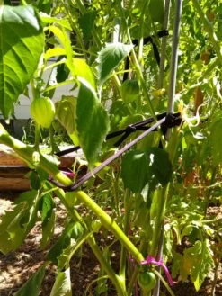 Farmyarn® Multipurpose Garden Tie, 2 Pack -Best Garden Care Shop 8612948 02v