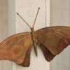 Butterfly Wall Décor -Best Garden Care Shop 8612951 01v