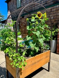 Self-Watering Elevated Planter Box, 2' X 4' -Best Garden Care Shop 8612976 11TEST tif 1