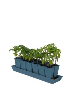 Gardener's Best® XL Seed Starting Kit -Best Garden Care Shop 8613066 0029