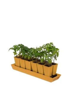 Gardener's Best® XL Seed Starting Kit -Best Garden Care Shop 8613066 1029