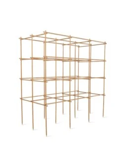 Tomato Six Pack Support -Best Garden Care Shop 8613143 5402 6 pack tomato support