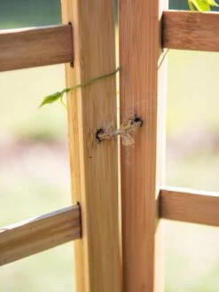 Bamboo Zig-Zag Trellis 24" X 36" -Best Garden Care Shop 8613151 6483